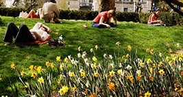 A planting of flowers in front of students laying on the grass